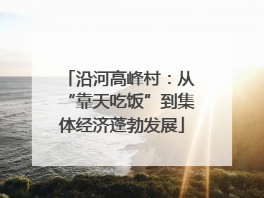 沿河高峰村：从“靠天吃饭”到集体经济蓬勃发展