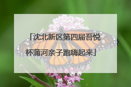 沈北新区第四届吾悦杯蒲河亲子跑嗨起来