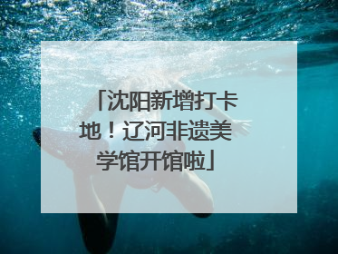 沈阳新增打卡地！辽河非遗美学馆开馆啦