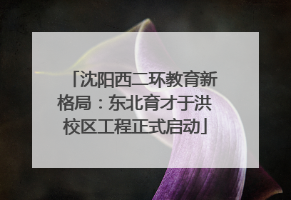 沈阳西二环教育新格局：东北育才于洪校区工程正式启动