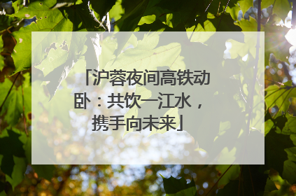 沪蓉夜间高铁动卧：共饮一江水，携手向未来