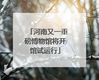河南又一重磅博物馆将开馆试运行