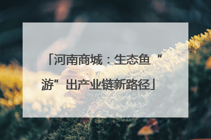 河南商城：生态鱼“游”出产业链新路径