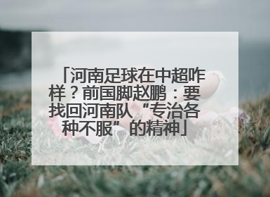 河南足球在中超咋样？前国脚赵鹏：要找回河南队“专治各种不服”的精神