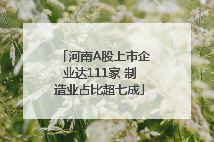 河南A股上市企业达111家 制造业占比超七成