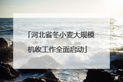 河北省冬小麦大规模机收工作全面启动