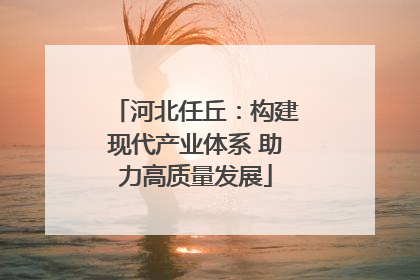 河北任丘：构建现代产业体系 助力高质量发展