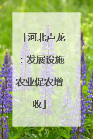 河北卢龙：发展设施农业促农增收