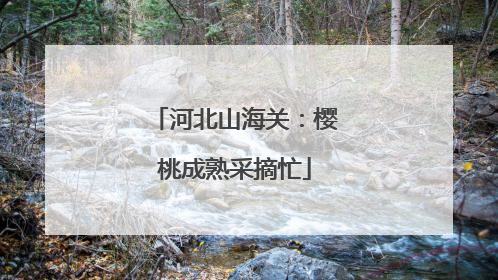 河北山海关：樱桃成熟采摘忙
