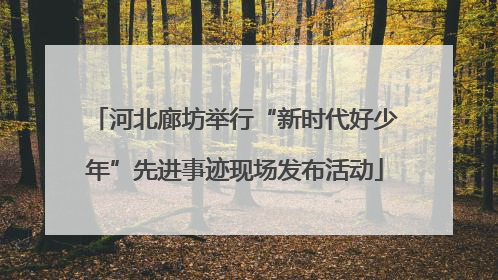 河北廊坊举行“新时代好少年”先进事迹现场发布活动