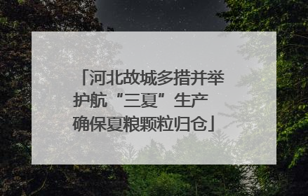河北故城多措并举护航“三夏”生产 确保夏粮颗粒归仓