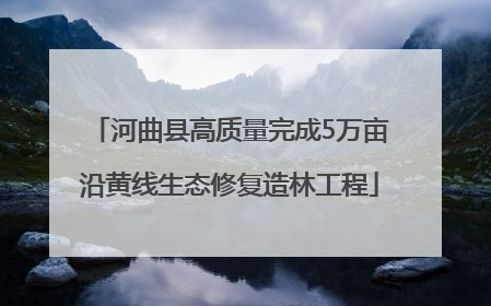 河曲县高质量完成5万亩沿黄线生态修复造林工程