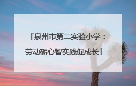 泉州市第二实验小学：劳动砺心智实践促成长