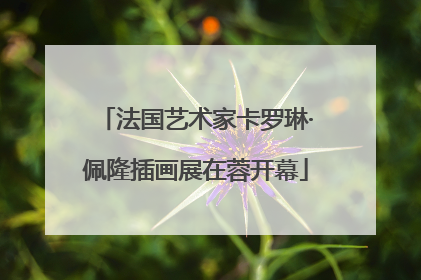 法国艺术家卡罗琳·佩隆插画展在蓉开幕