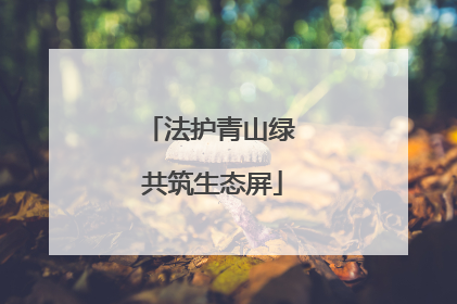 法护青山绿 共筑生态屏