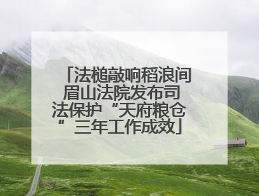 法槌敲响稻浪间 眉山法院发布司法保护“天府粮仓”三年工作成效
