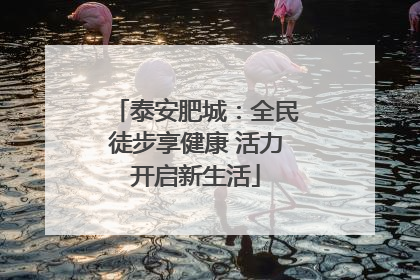 泰安肥城：全民徒步享健康 活力开启新生活