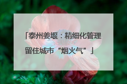 泰州姜堰：精细化管理留住城市“烟火气”