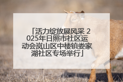 活力绽放展风采 2025年日照市社区运动会岚山区中楼镇娄家湖社区专场举行