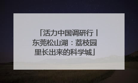 活力中国调研行丨东莞松山湖：荔枝园里长出来的科学城