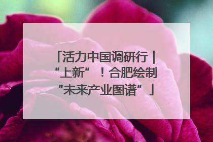 活力中国调研行｜“上新”！合肥绘制“未来产业图谱”