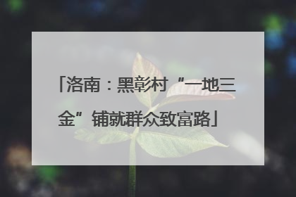 洛南：黑彰村“一地三金”铺就群众致富路