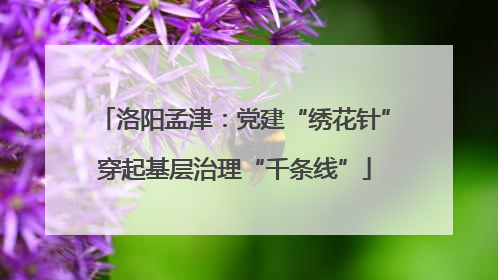 洛阳孟津：党建“绣花针”穿起基层治理“千条线”