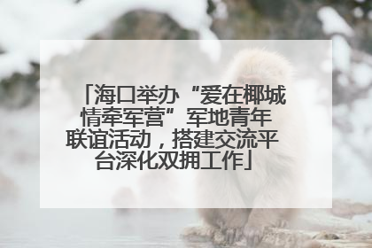 海口举办“爱在椰城 情牵军营”军地青年联谊活动，搭建交流平台深化双拥工作