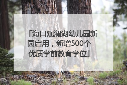 海口观澜湖幼儿园新园启用，新增500个优质学前教育学位