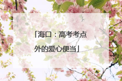 海口：高考考点外的爱心便当