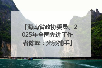 海南省政协委员、2025年全国先进工作者陈峰：光影捕手