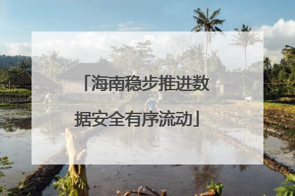 海南稳步推进数据安全有序流动