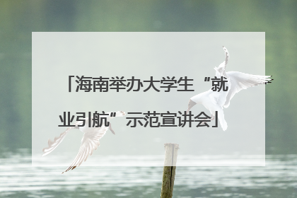 海南举办大学生“就业引航”示范宣讲会
