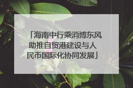 海南中行乘消博东风 助推自贸港建设与人民币国际化协同发展