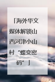海外华文媒体解锁山西河津小山村“蝶变密码”