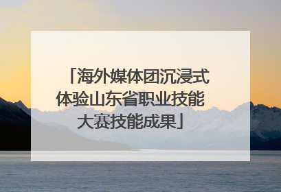 海外媒体团沉浸式体验山东省职业技能大赛技能成果