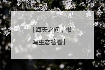 海天之间，书写生态答卷