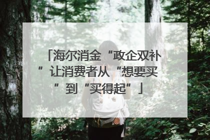 海尔消金“政企双补”让消费者从“想要买”到“买得起”