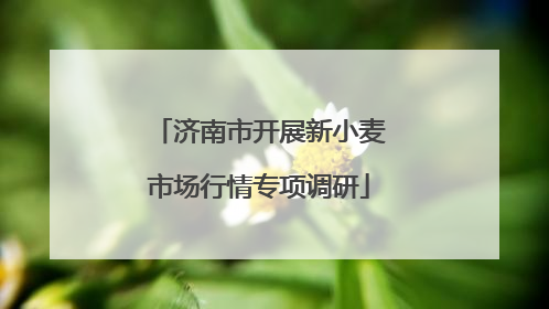 济南市开展新小麦市场行情专项调研