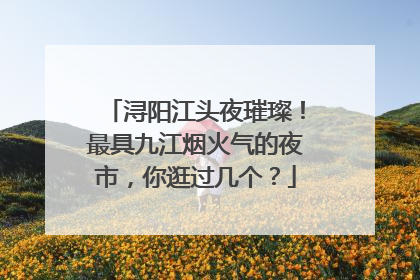 浔阳江头夜璀璨！最具九江烟火气的夜市，你逛过几个？