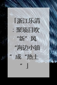 浙江乐清：聚项目吹“新”风 “海边小镇”成“热土”