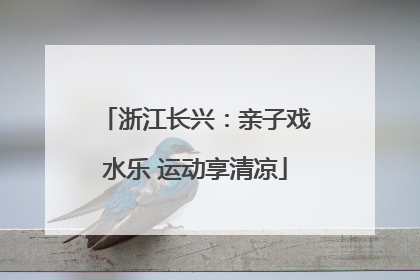 浙江长兴：亲子戏水乐 运动享清凉