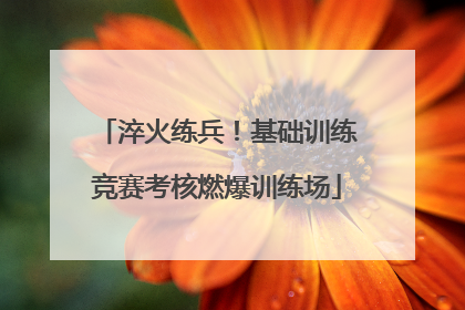 淬火练兵！基础训练竞赛考核燃爆训练场