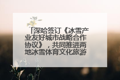 深哈签订《冰雪产业友好城市战略合作协议》，共同推进两地冰雪体育文化旅游高质量发展