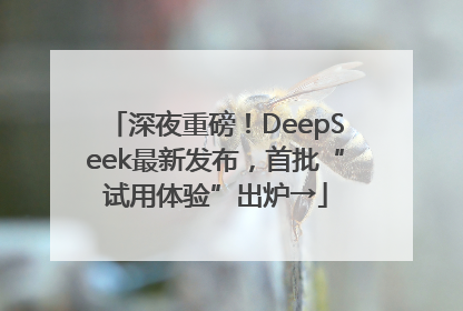 深夜重磅！DeepSeek最新发布，首批“试用体验”出炉→