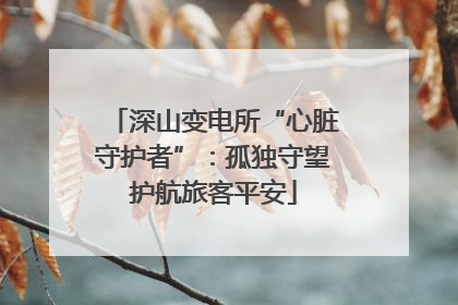 深山变电所“心脏守护者”：孤独守望护航旅客平安