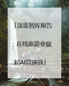 深蓝智库报告：在线旅游业掀起AI竞速战
