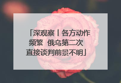 深观察丨各方动作频繁  俄乌第二次直接谈判前景不明