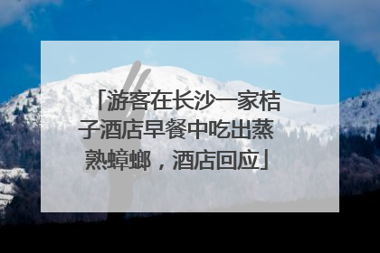 游客在长沙一家桔子酒店早餐中吃出蒸熟蟑螂，酒店回应