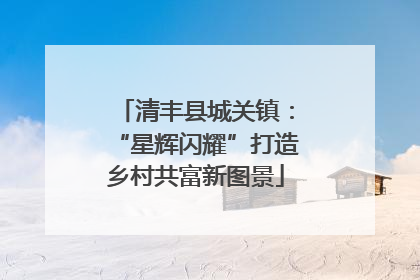 清丰县城关镇：“星辉闪耀”打造乡村共富新图景